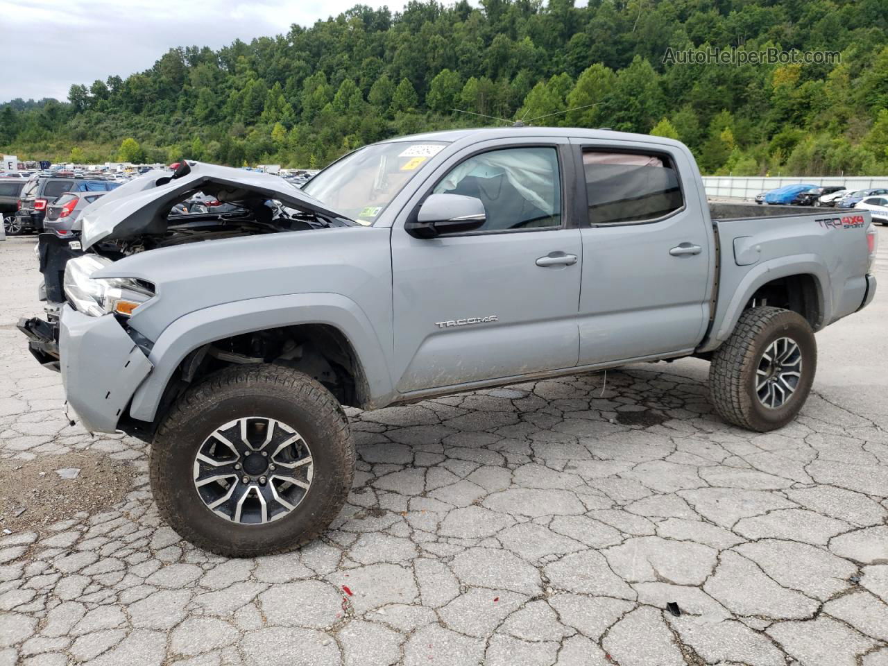 2020 Toyota Tacoma Double Cab Gray vin: 3TMCZ5AN9LM335446