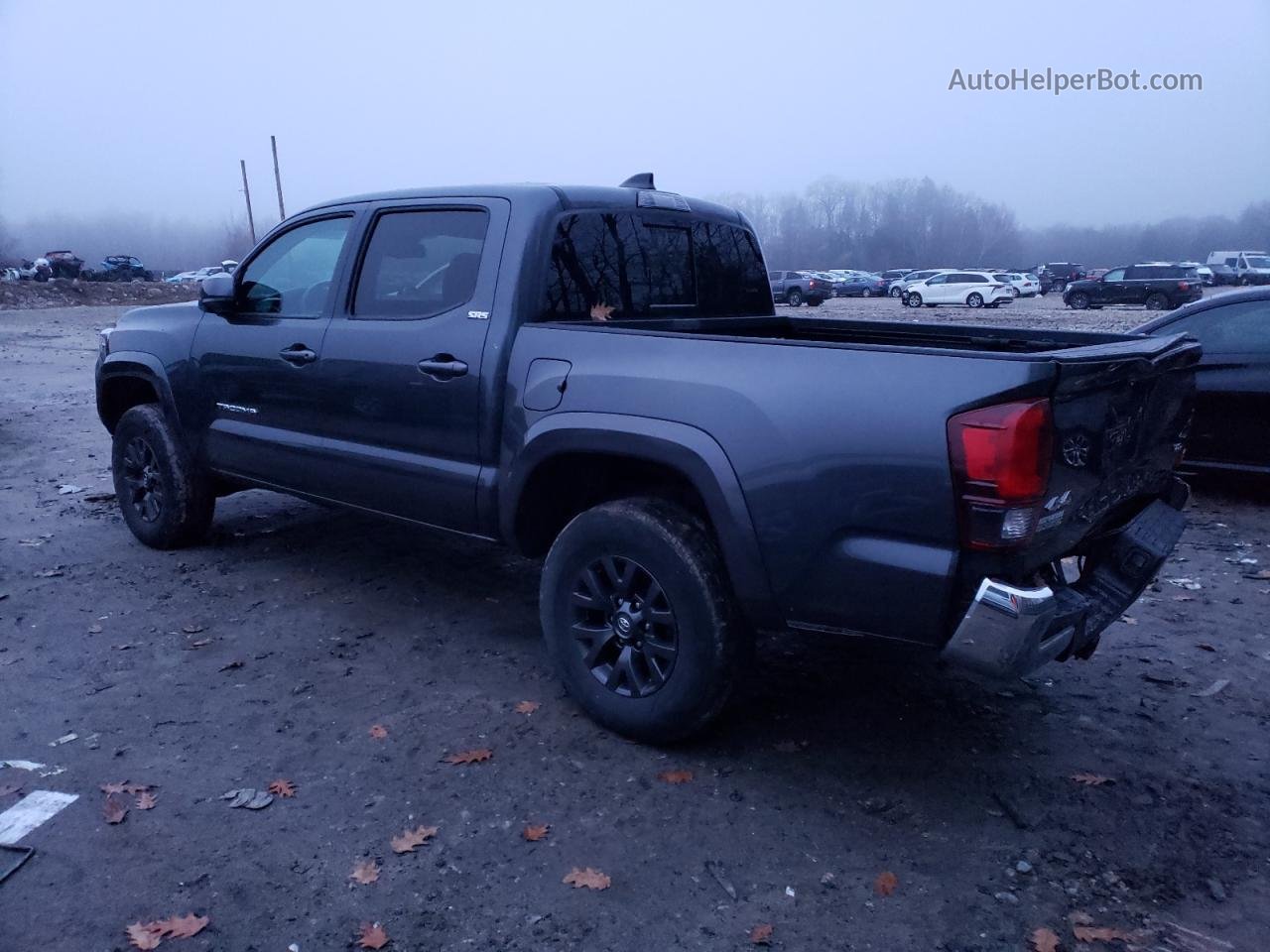 2021 Toyota Tacoma Double Cab Gray vin: 3TMCZ5AN9MM446564