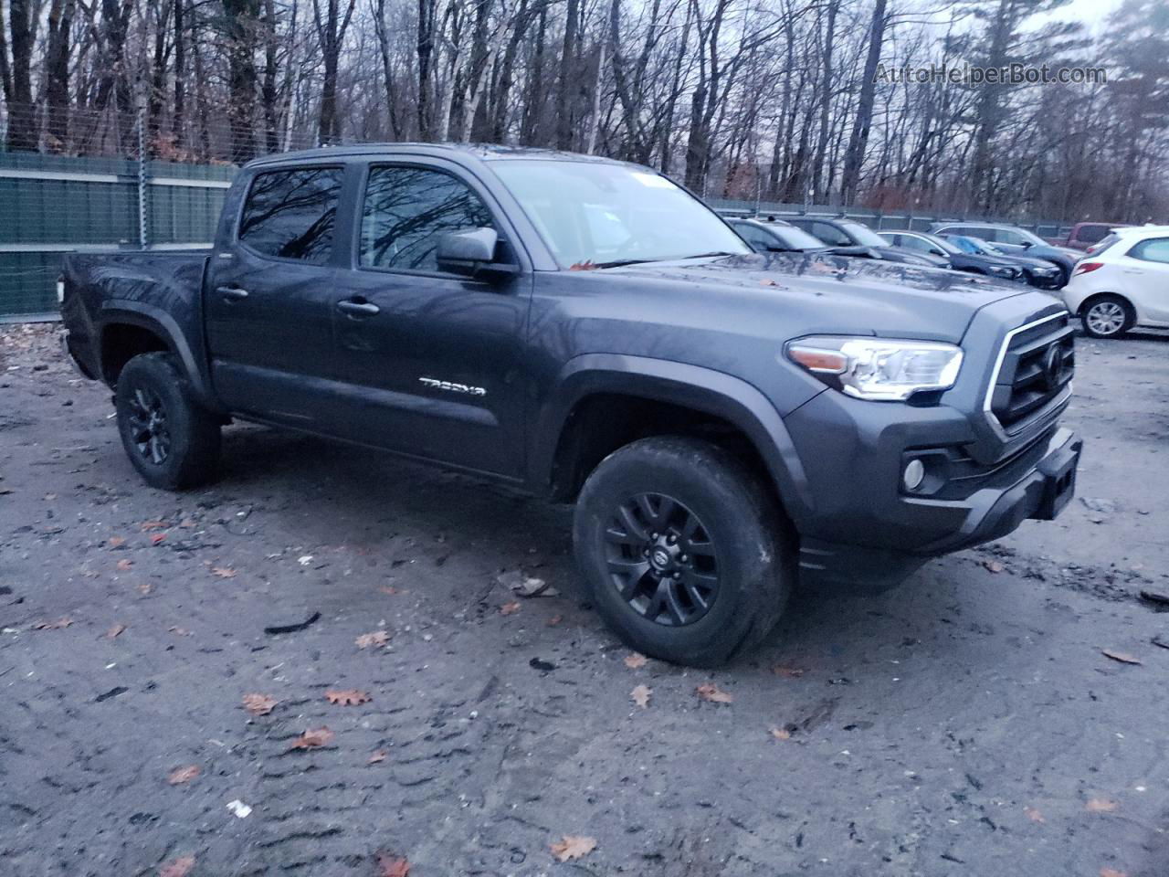 2021 Toyota Tacoma Double Cab Gray vin: 3TMCZ5AN9MM446564