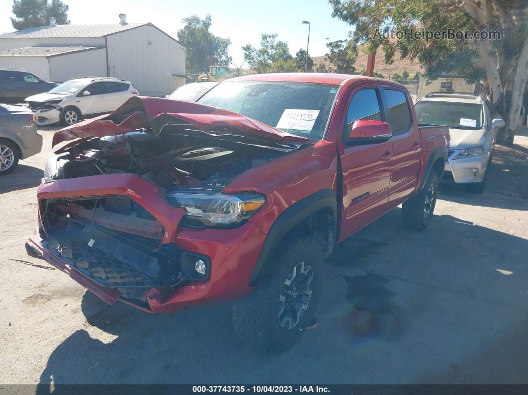 2021 Toyota Tacoma 4wd Sr/sr5/trd Sport Red vin: 3TMCZ5AN9MM449772