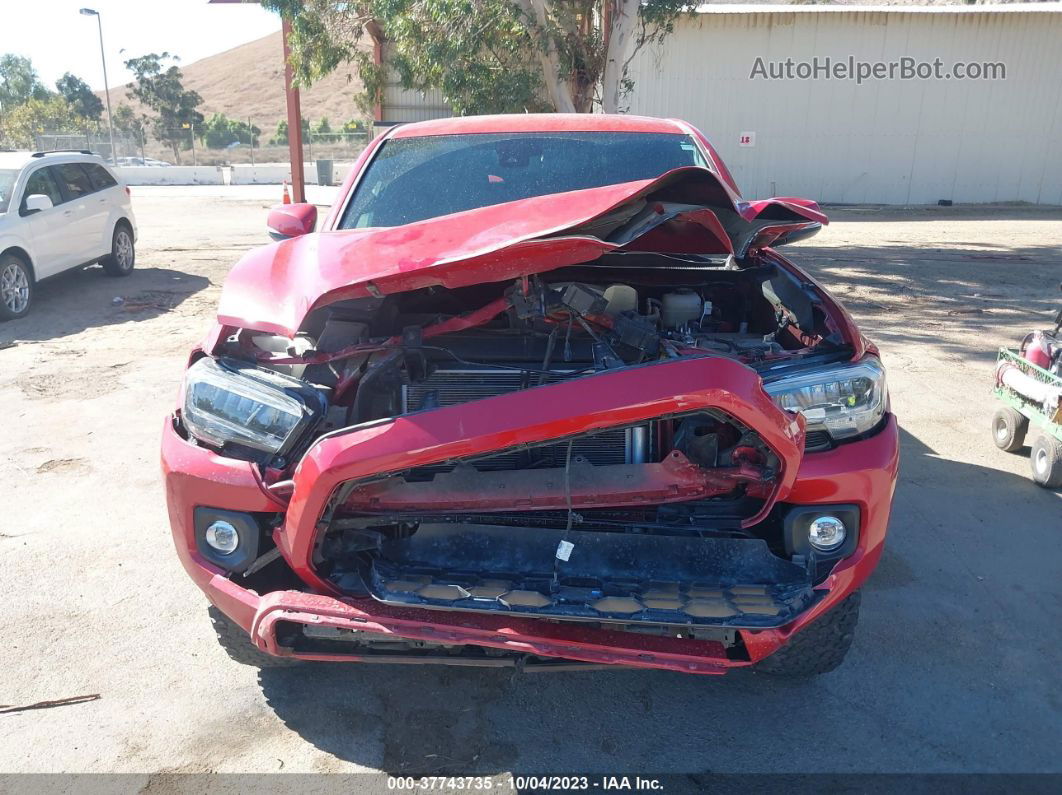 2021 Toyota Tacoma 4wd Sr/sr5/trd Sport Red vin: 3TMCZ5AN9MM449772