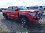 2019 Toyota Tacoma Trd Off Road Red vin: 3TMCZ5ANXKM270606
