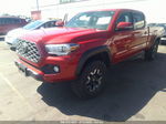 2021 Toyota Tacoma 4wd Trd Sport Красный vin: 3TMDZ5BN3MM098778