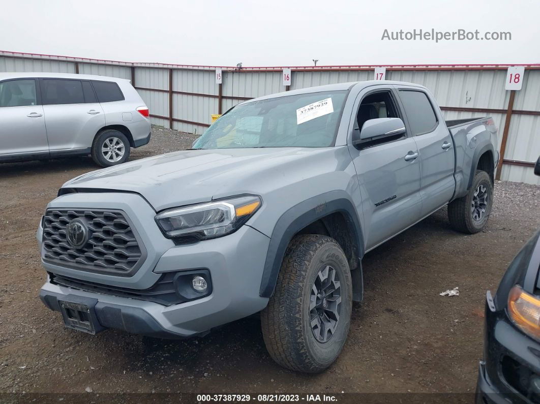 2021 Toyota Tacoma 4wd Trd Off Road Gray vin: 3TMDZ5BN7MM113119