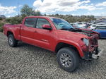 2019 Toyota Tacoma Double Cab Red vin: 3TMDZ5BNXKM075379