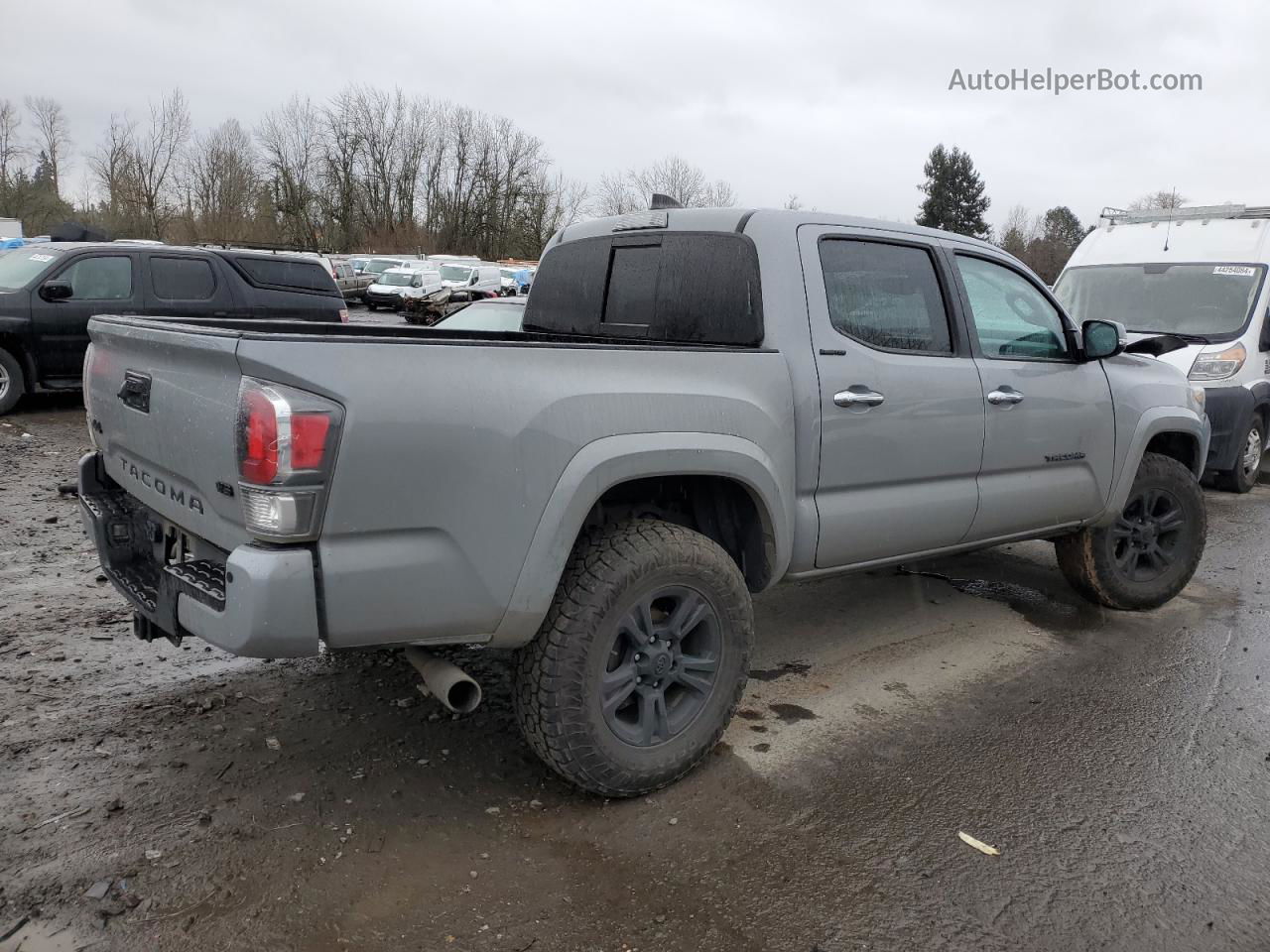 2020 Toyota Tacoma Double Cab Gray vin: 3TMGZ5AN2LM341901