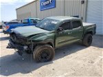 2021 Toyota Tacoma Double Cab Green vin: 3TYCZ5AN8MT052767