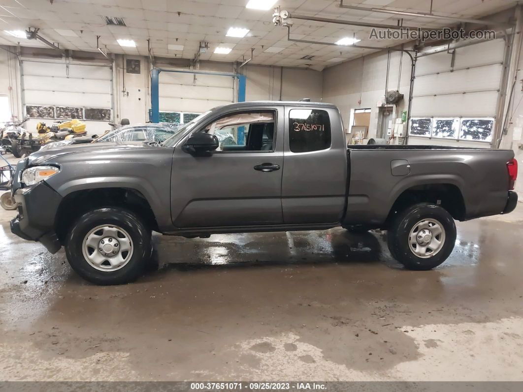 2021 Toyota Tacoma Sr Gray vin: 3TYSX5EN5MT004235