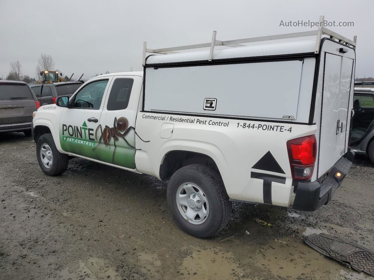 2021 Toyota Tacoma Access Cab Белый vin: 3TYSX5EN7MT006178