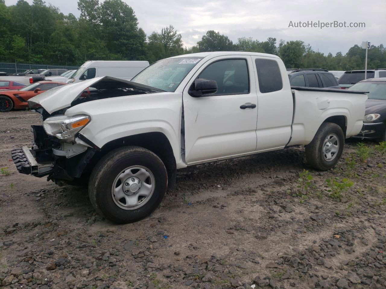 2021 Toyota Tacoma Access Cab Белый vin: 3TYSX5EN9MT007784