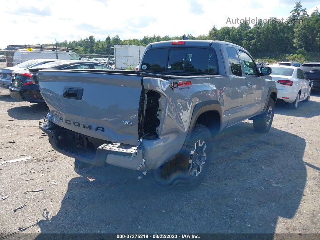 2021 Toyota Tacoma 4wd Trd Off Road Gray vin: 3TYSZ5AN8MT016735