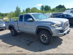 2021 Toyota Tacoma 4wd Trd Off Road Gray vin: 3TYSZ5AN8MT016735