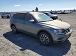 2021 Volkswagen Tiguan S Gray vin: 3VV0B7AX0MM038363