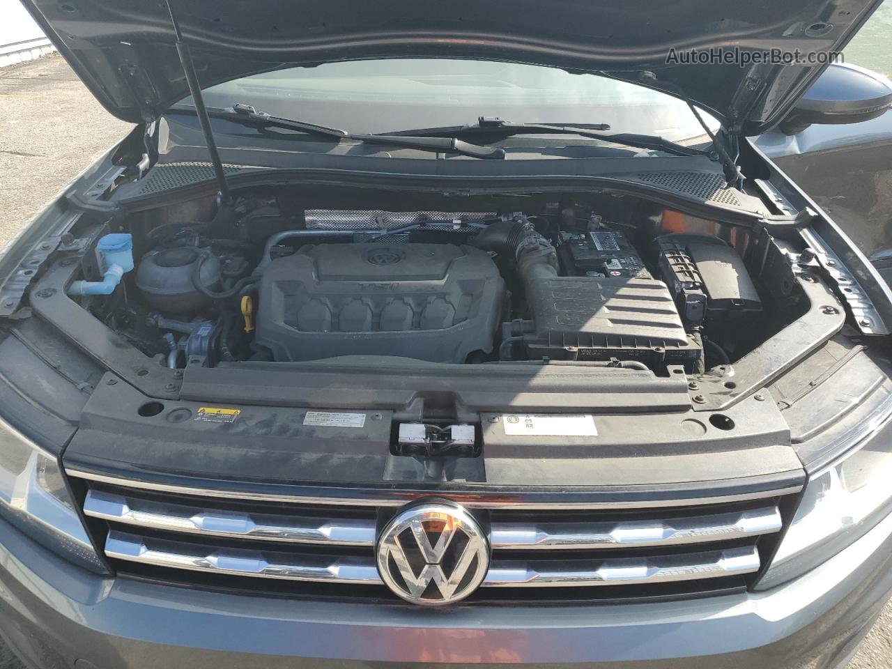 2019 Volkswagen Tiguan Se Gray vin: 3VV3B7AX1KM065940