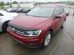 2019 Volkswagen Tiguan Se/sel/sel R-line Red vin: 3VV3B7AX5KM153793