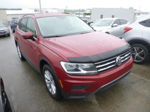 2019 Volkswagen Tiguan Se/sel/sel R-line Red vin: 3VV3B7AX5KM153793