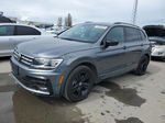 2019 Volkswagen Tiguan Se Gray vin: 3VV3B7AX6KM076030