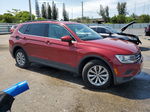 2019 Volkswagen Tiguan Se Red vin: 3VV3B7AXXKM061711