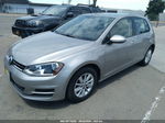 2017 Volkswagen Golf Tsi S 4-door/tsi Se 4-door/tsi Sel 4-door/tsi Wolfsburg Edition 4-door Gray vin: 3VW217AU0HM076839