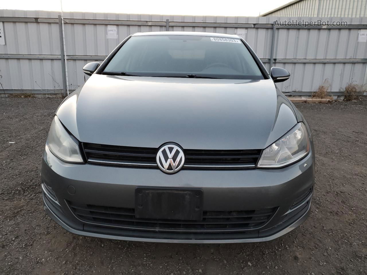 2015 Volkswagen Golf  Серый vin: 3VW217AU6FM001186