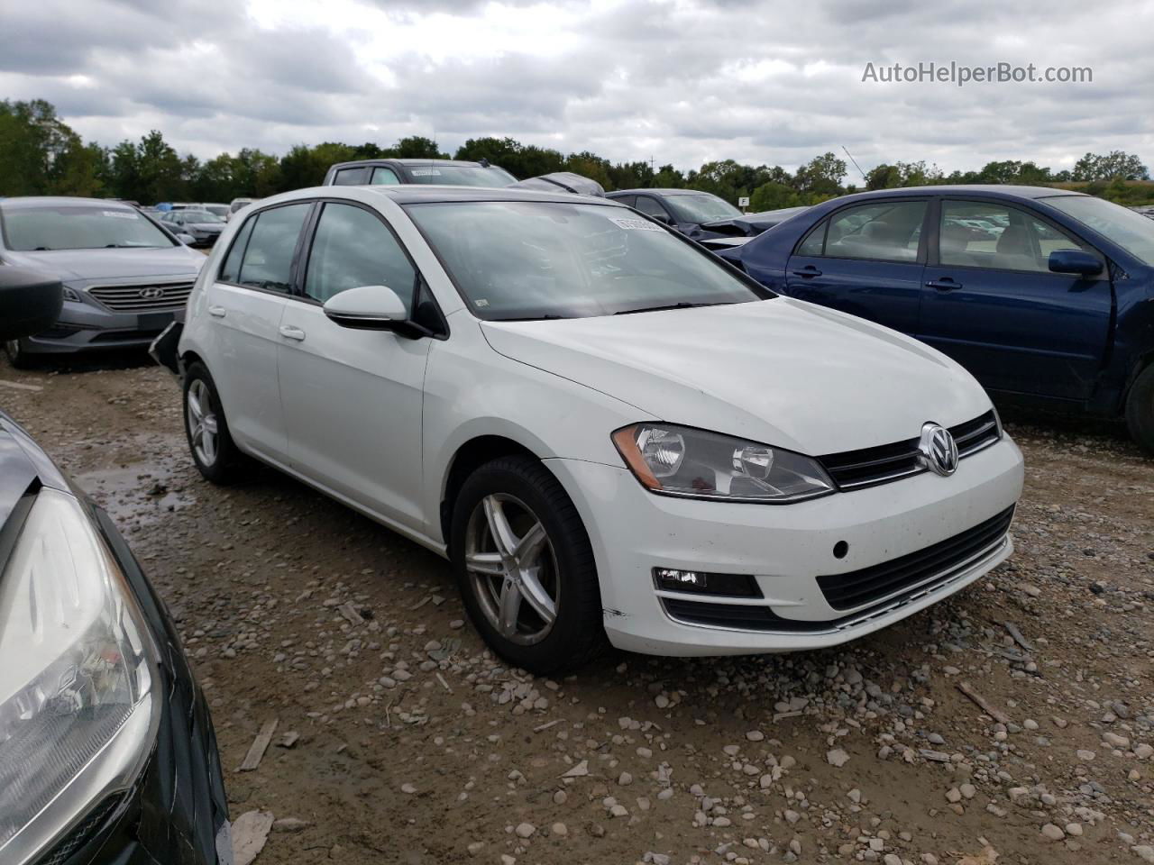 2015 Volkswagen Golf  White vin: 3VW217AU6FM011233