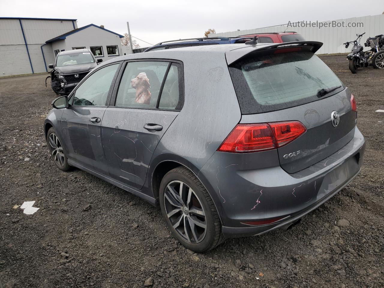 2015 Volkswagen Golf  Gray vin: 3VW217AU8FM008141