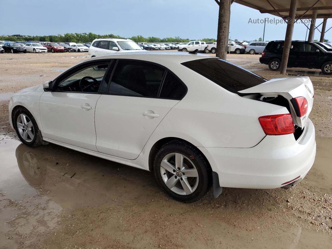 2012 Volkswagen Jetta Tdi White vin: 3VW3L7AJ3CM314647