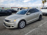 2013 Volkswagen Jetta Se Gold vin: 3VWDP7AJ0DM247046