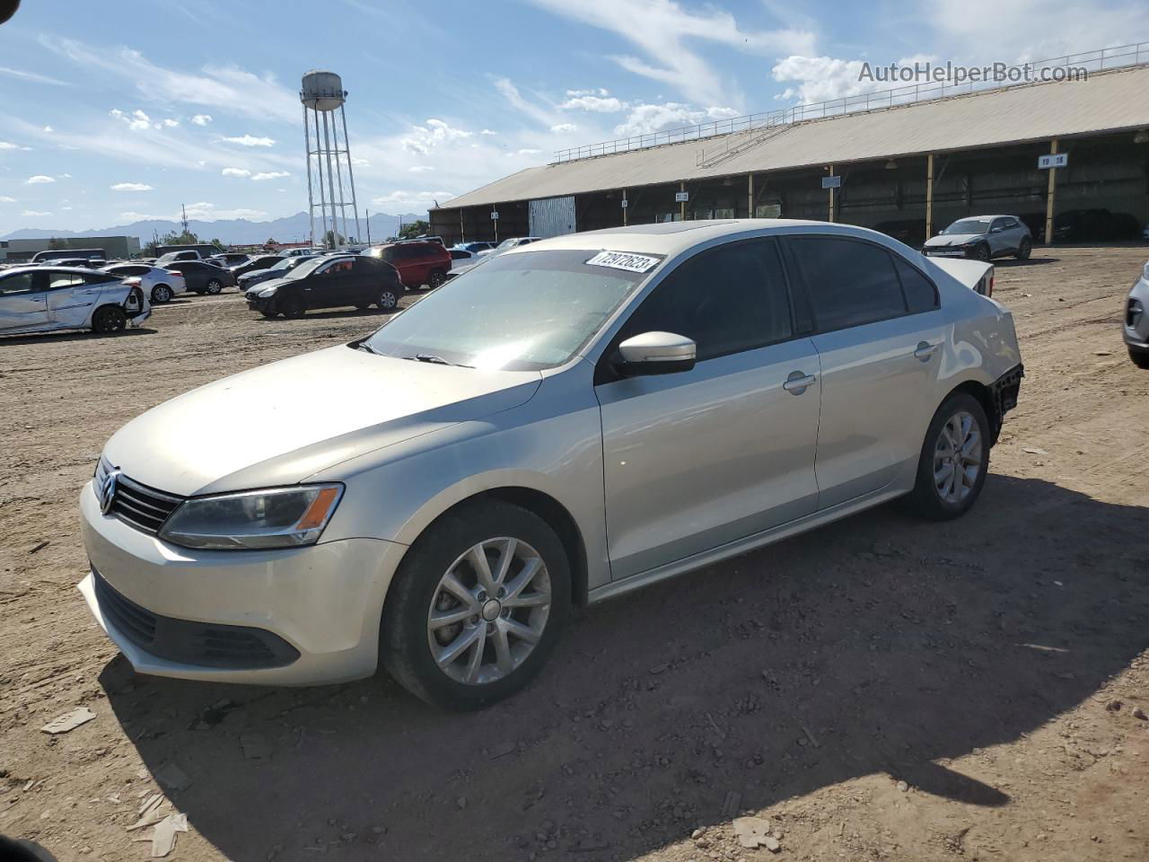 2011 Volkswagen Jetta Se Silver vin: 3VWDZ7AJ9BM324164