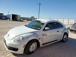 2016 Volkswagen Beetle 1.8t White vin: 3VWF17AT1GM633250