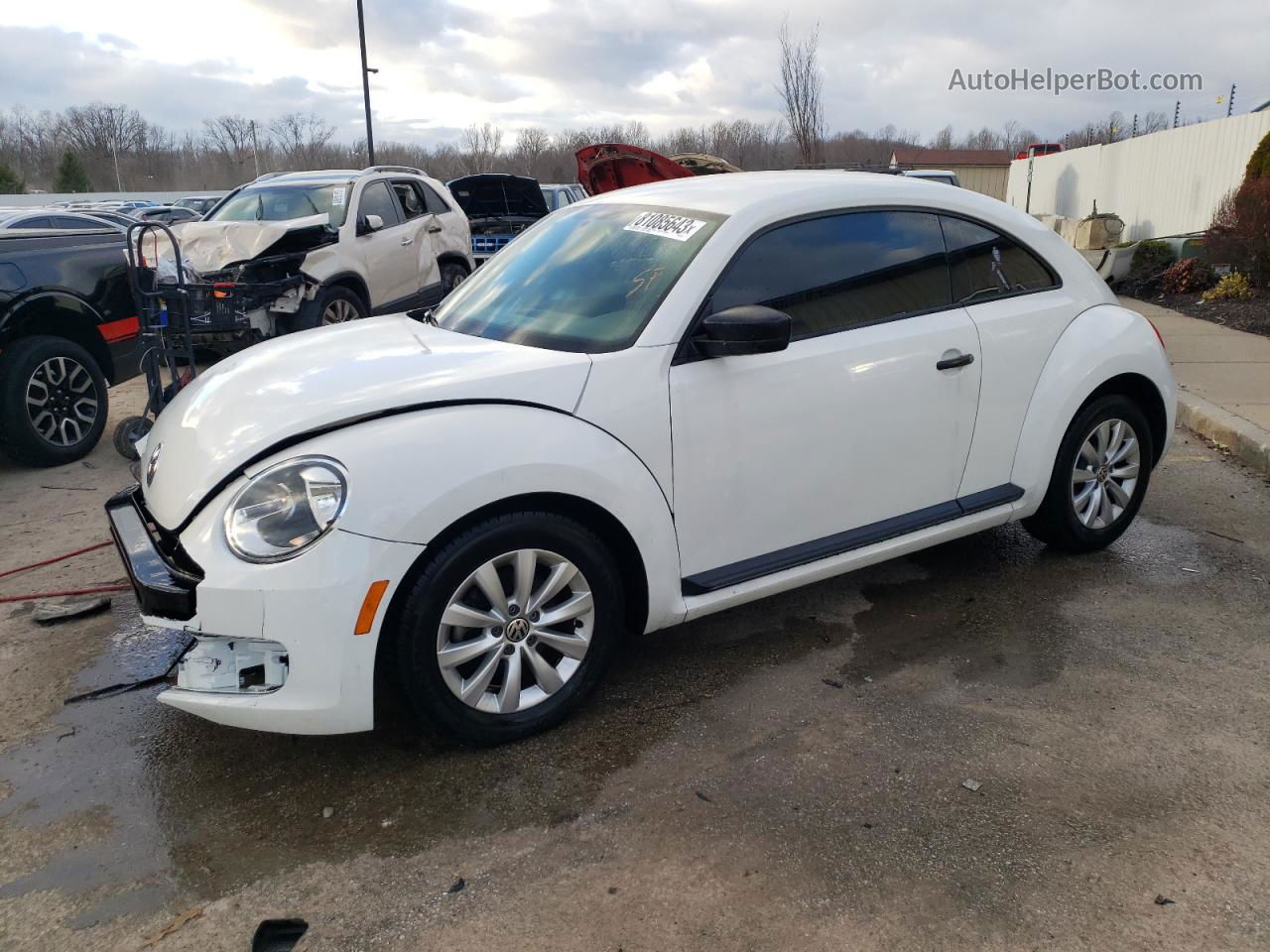 2014 Volkswagen Beetle  Белый vin: 3VWFP7AT1EM603029