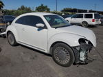 2014 Volkswagen Beetle  Белый vin: 3VWJ17AT3EM658982