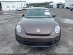 2016 Volkswagen Beetle 1.8t Se Brown vin: 3VWJ17AT6GM606118