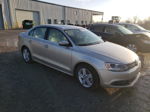 2014 Volkswagen Jetta Tdi Бежевый vin: 3VWLL7AJ4EM225480