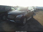 2013 Mercedes-benz M-class Ml 350 Black vin: 4JGDA5HB6DA163507