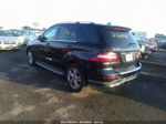 2013 Mercedes-benz M-class Ml 350 Черный vin: 4JGDA5HB6DA163507