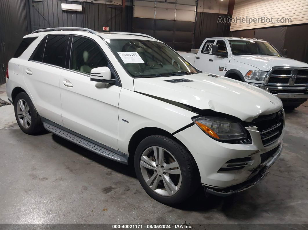 Mercedes-Benz ML 350 電動乗用車 ホワイト メルセデスベンツ Mクラス ML350 BLUETEC 中古車情報 AUTO