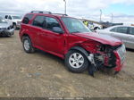 2010 Mercury Mariner Red vin: 4M2CN8B72AKJ23175