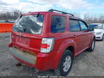 2010 Mercury Mariner   Red vin: 4M2CN8B75AKJ18973