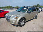 2010 Mercury Mariner   Gold vin: 4M2CN8B77AKJ14858