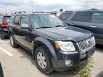 2010 Mercury Mariner  Gray vin: 4M2CN8B7XAKJ21805