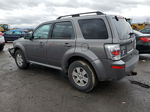 2010 Mercury Mariner  Серый vin: 4M2CN8BG1AKJ17870