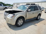 2010 Mercury Mariner  Золотой vin: 4M2CN8BG2AKJ22365