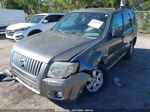 2010 Mercury Mariner   Gray vin: 4M2CN8BG4AKJ25140