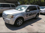 2010 Mercury Mariner   Gray vin: 4M2CN8BG5AKJ26068