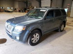 2010 Mercury Mariner  Blue vin: 4M2CN8BG7AKJ24385