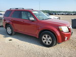 2010 Mercury Mariner  Maroon vin: 4M2CN8BGXAKJ03921