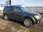 2010 Mercury Mariner Premier Угольный vin: 4M2CN8H70AKJ25577