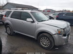 2010 Mercury Mariner Premier Silver vin: 4M2CN8H72AKJ25077