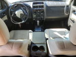 2010 Mercury Mariner Premier Белый vin: 4M2CN8H75AKJ10105